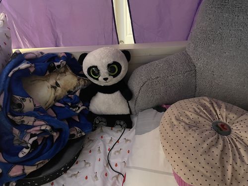 Customer photo review of Create A Custom Dog Pillow
