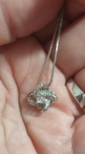 Customer photo review of White Gold Necklace - With Real Rose - To My Love