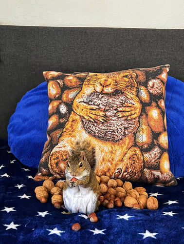 Customer photo review of Full-Body Pet Custom Sweater