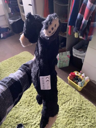 Customer photo review of SKOGGY BEAR