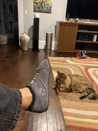 Customer photo review of Ursus [LT]