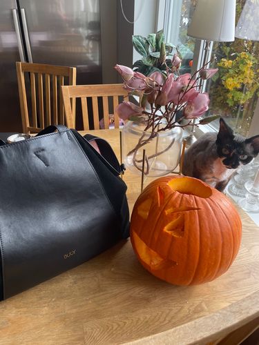 Customer photo review of Midi Curie 3-in-1 bag - Black