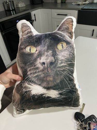 Customer photo review of Create A Custom Cat Pillow