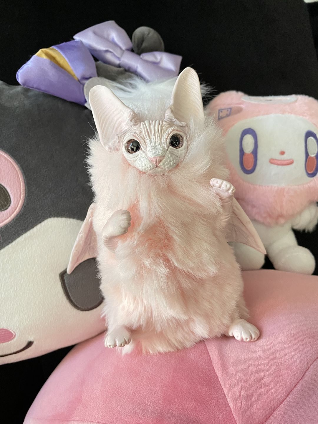 Customer photo review of Baby batcat