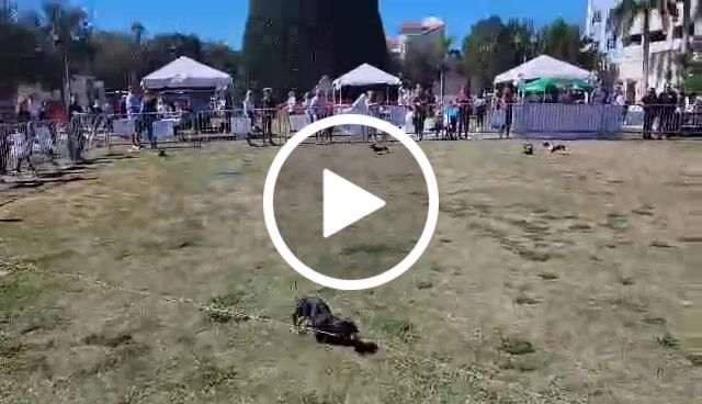 Customer video review of Roll of Line (500 ft)