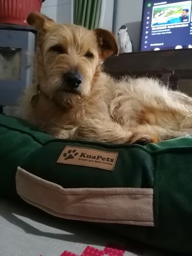 Customer photo review of CAMA ORIGEN VERDE BOTELLA