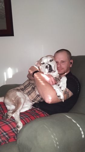 Customer photo review of MCT CBD Oil : PET & HUMAN SUPER DOSE - 4,000 MG CBD