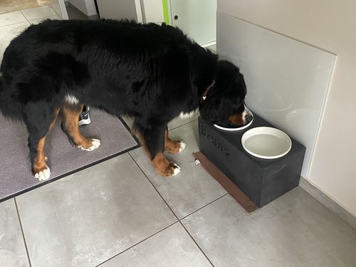 Customer photo review of Futterstation PATERA DUO Personalisiert