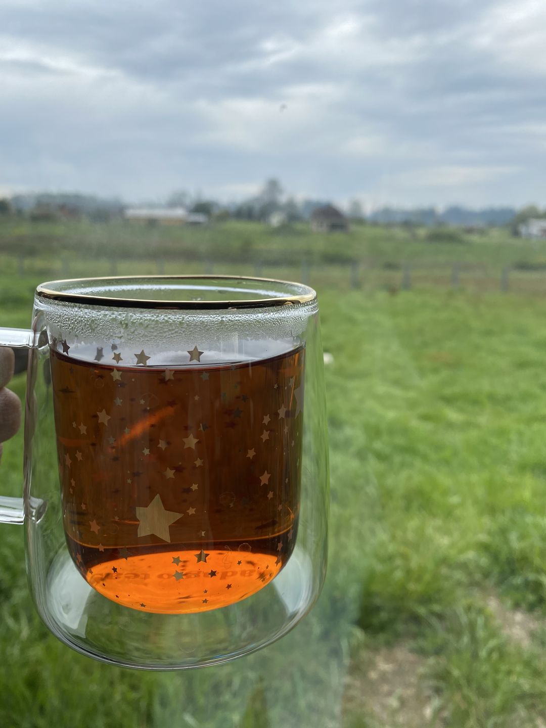 Customer photo review of Rooibos Menta Chip