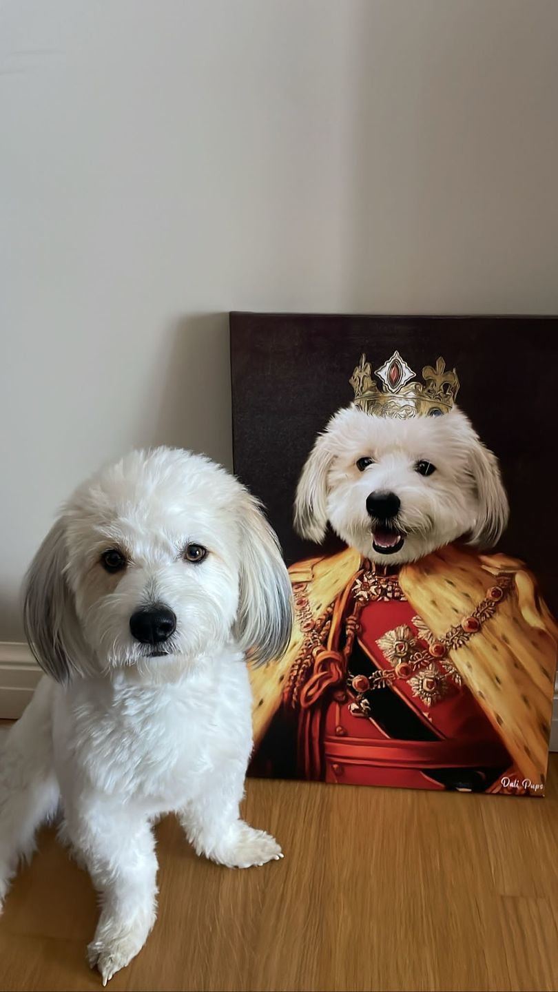 Customer photo review of The King of the Seven Kingdoms