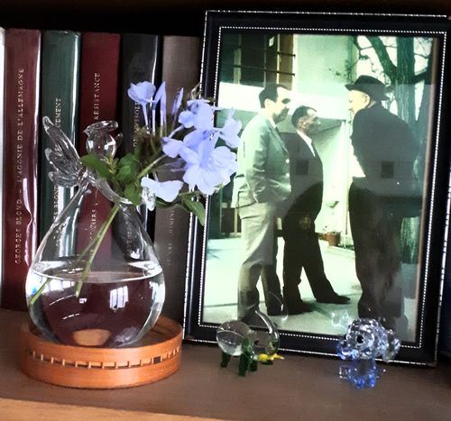 Customer photo review of Mon petit ange gardien
