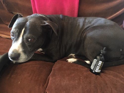 Customer photo review of MCT CBD Oil : PET & HUMAN SUPER DOSE - 4,000 MG CBD