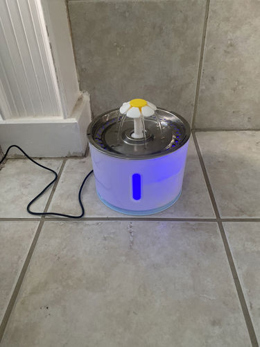 Customer photo review of Cat Flower Fountain