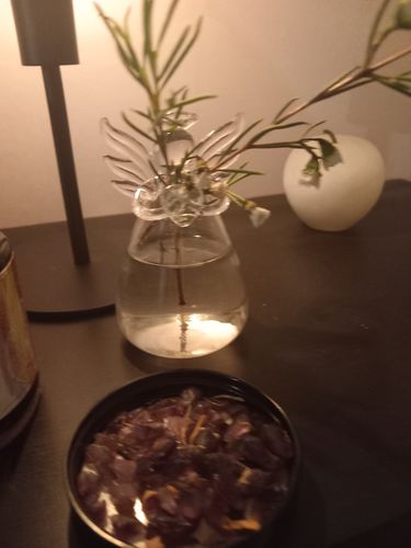Customer photo review of Mon petit ange gardien