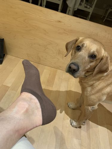 Customer photo review of Women's Ankle Socks