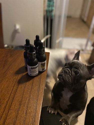 Customer photo review of MCT CBD Oil : PET & HUMAN SUPER DOSE - 4,000 MG CBD