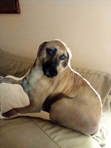 Customer photo review of Create A Custom Anything Pillow