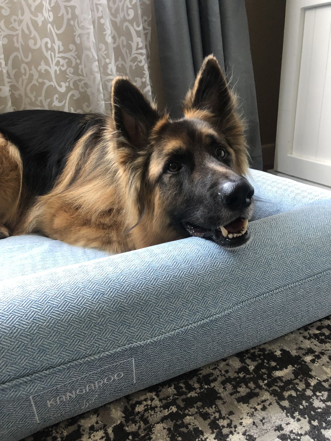 Customer photo review of Lux Cover for Kangaroo Bed