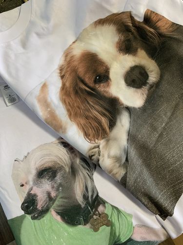 Customer photo review of CUSTOM TEE - Vintage PRINT-YA-PET