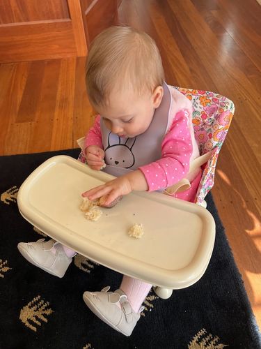 Customer photo review of Paloma baby chair