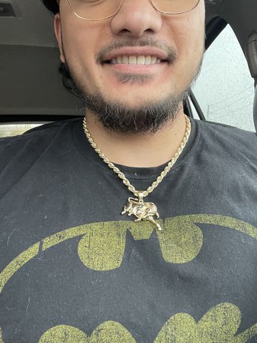 Customer photo review of 10KT Gold Bull Pendant 008