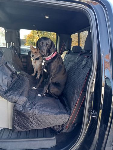 Customer photo review of Waterproof Non-Slip Car Seat Hammock Cover With Pockets, Side Flaps, Headrest Straps, Seat-Anchors, & Mesh Window (+FREE SAFETY BELT!)