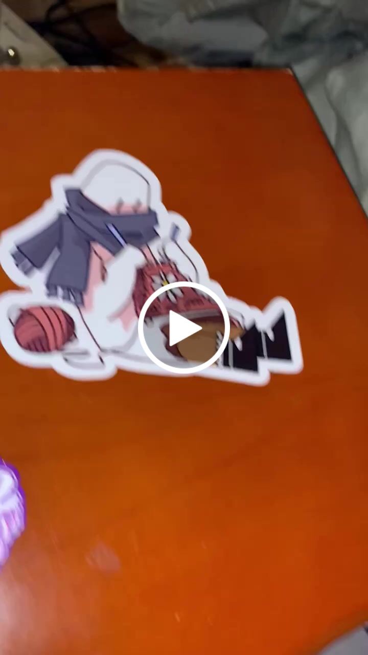 Customer video review of Aesthetic Skeleton Stickers