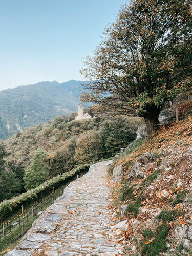 Customer photo review of EARTH TONES LIGHTROOM PRESETS