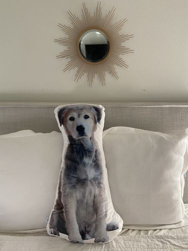 Customer photo review of Create A Custom Dog Pillow