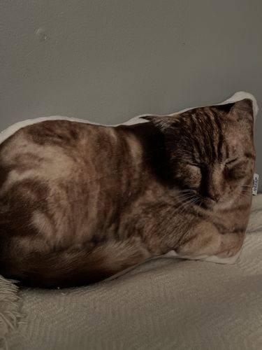 Customer photo review of Create A Custom Dog Pillow
