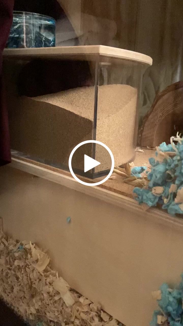 Customer video review of Niteangel Desert Bathing Desert Sand for Hamster Gerbil Mice Degu or Other Small Pets