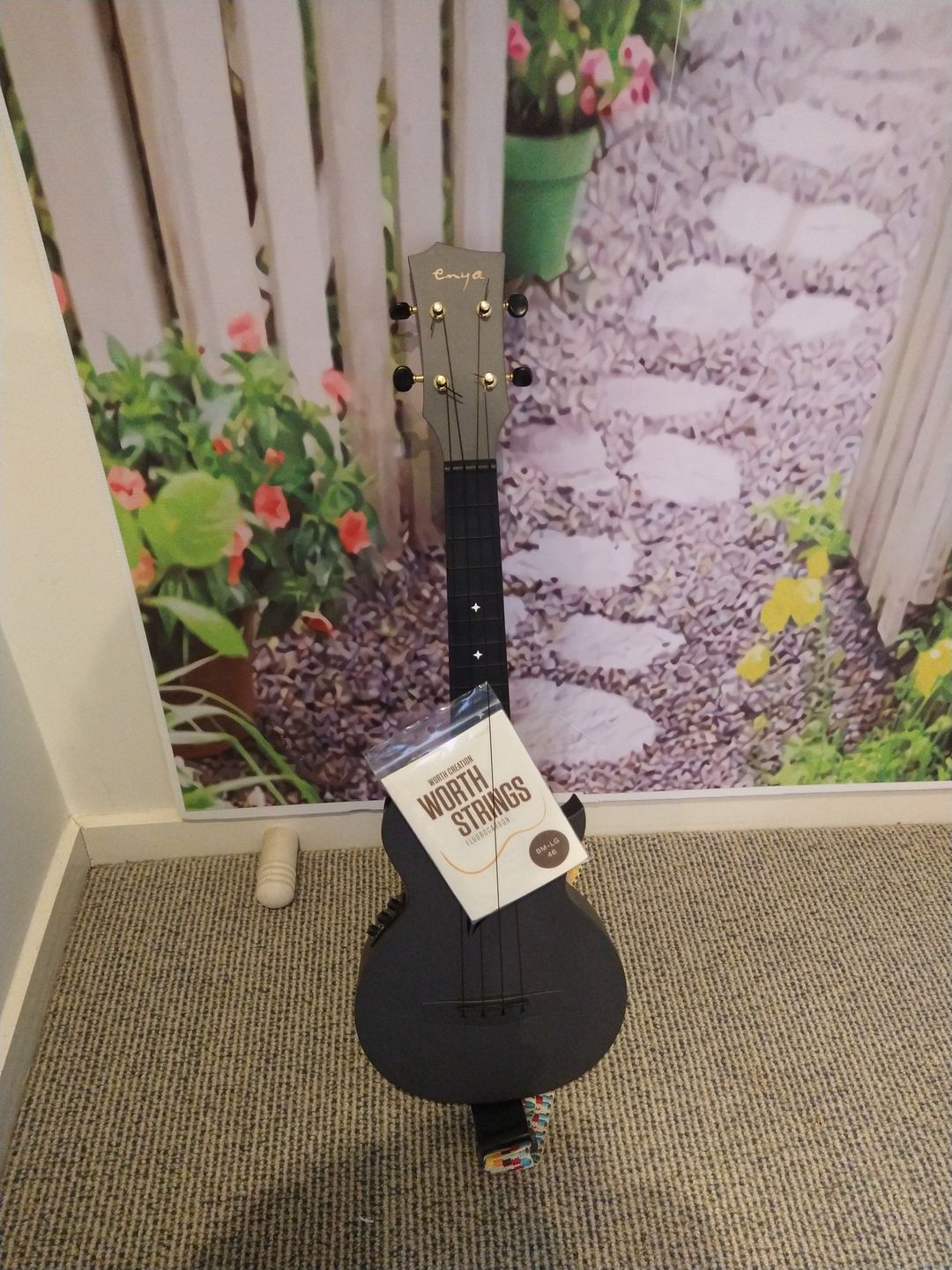 Customer photo review of BM-LG Worth Ukulele Strings Brown Medium Low G Soprano/Concert Fluorocarbon 2 restrings Per Pack