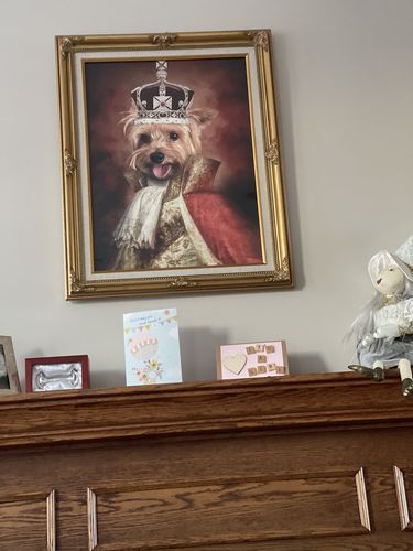 Customer photo review of The King - Custom Vintage Pet Portrait