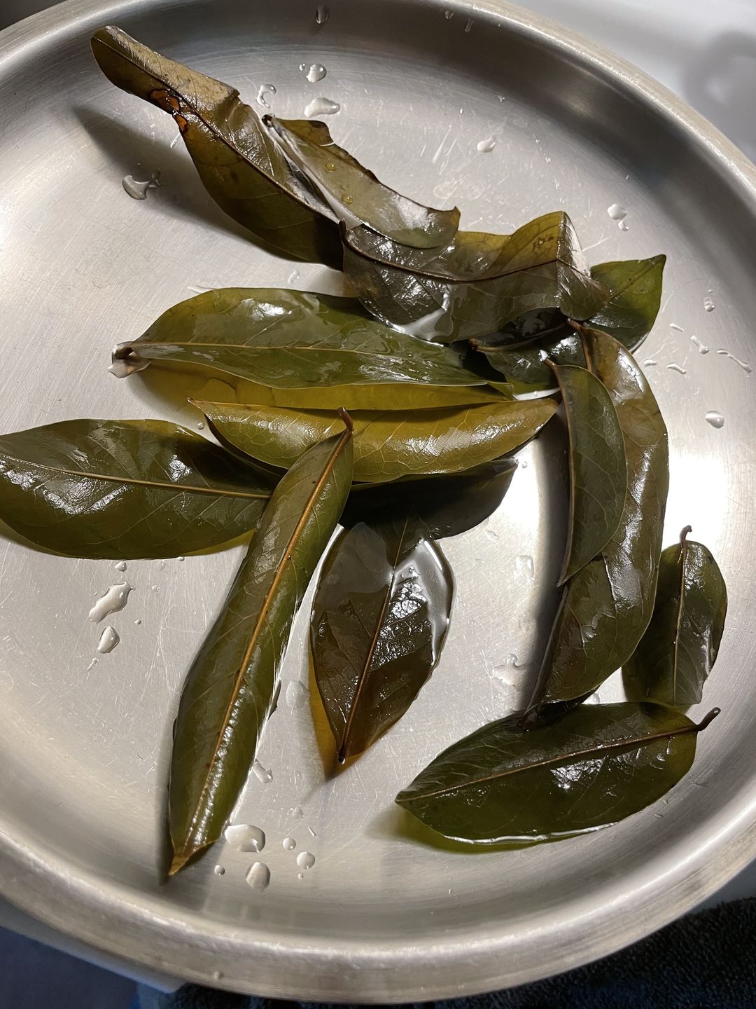Customer photo review of Soursop Leaf