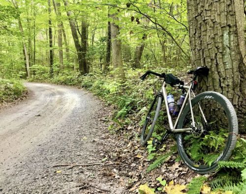 Customer photo review of Basswood Titanium Gravel Bike w/ Carbon Wheels