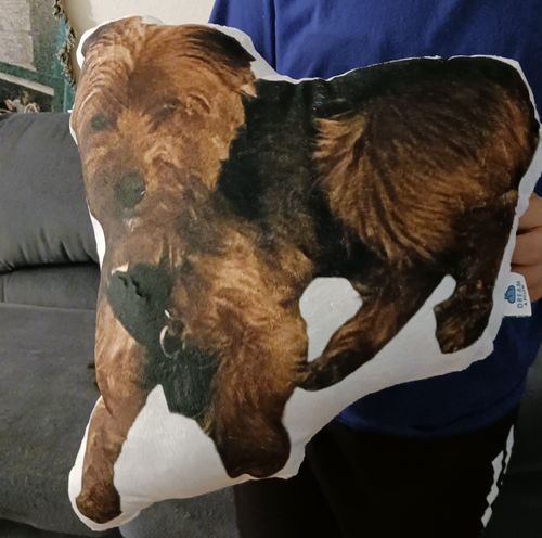 Customer photo review of Create A Custom Dog Pillow