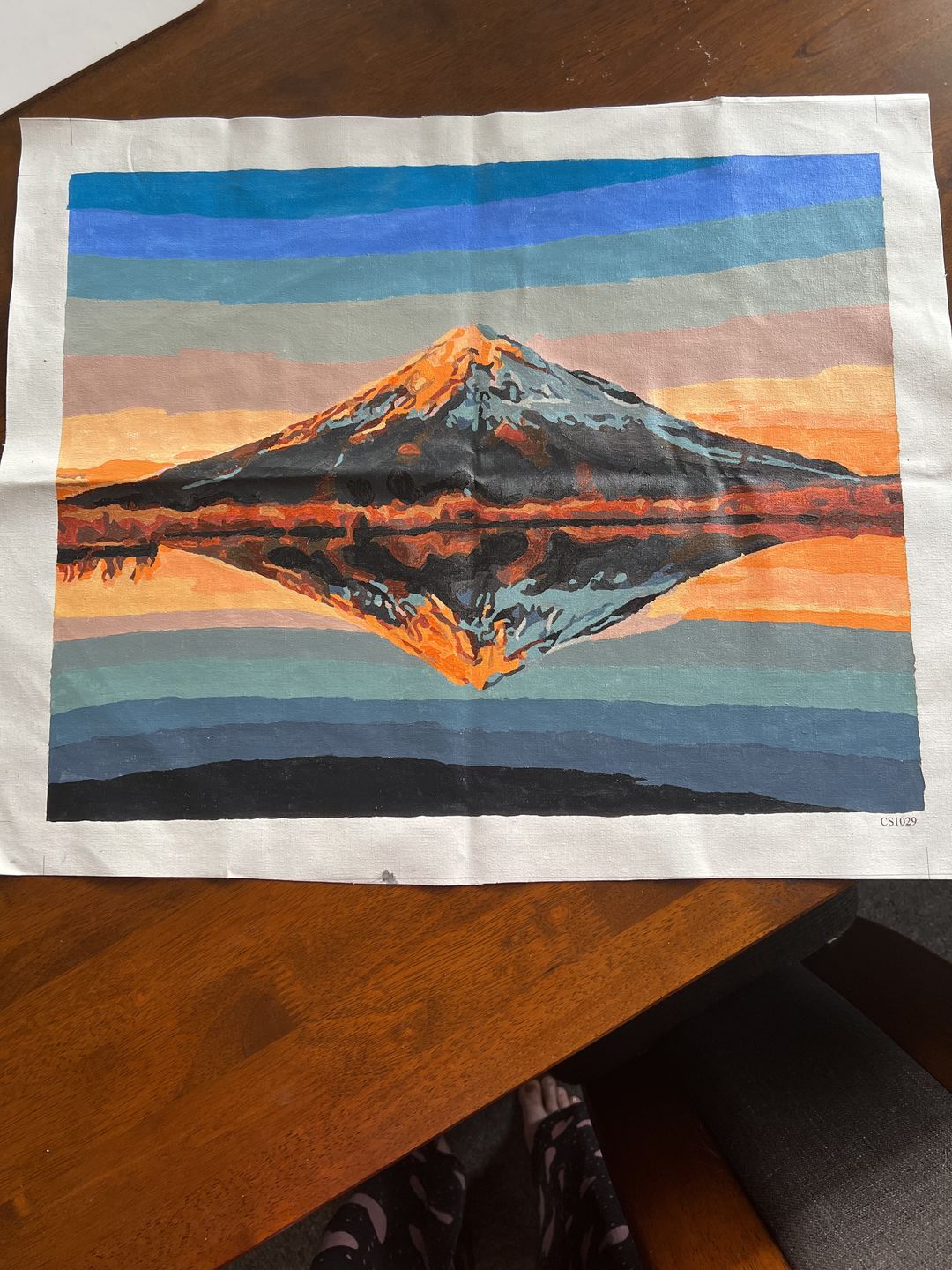Customer photo review of Mount Taranaki