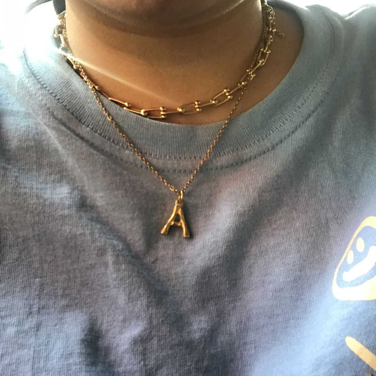 Customer photo review of Collar Tifany