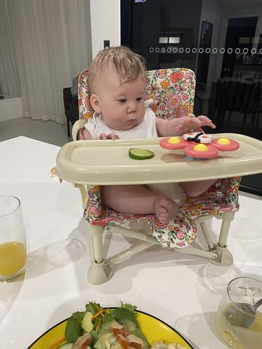 Customer photo review of Paloma baby chair
