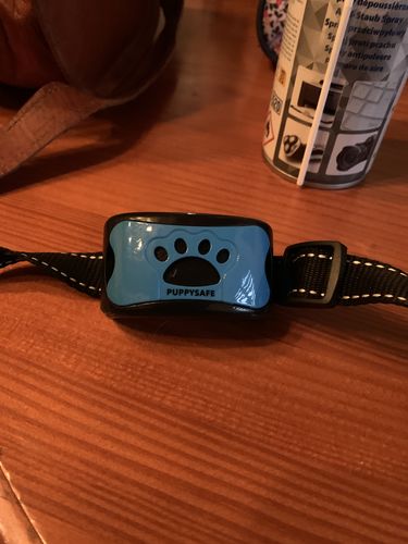 Customer photo review of Collier Anti Aboiement PuppySafe
