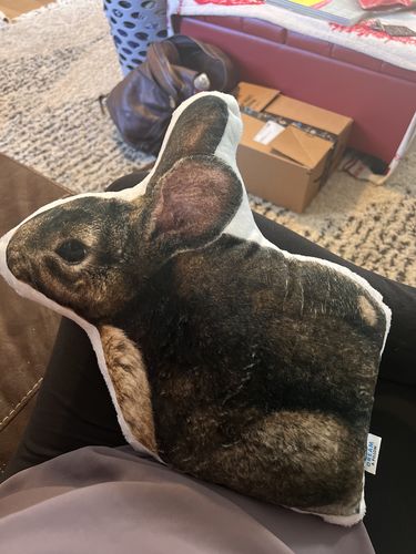 Customer photo review of Create A Custom Animal Pillow
