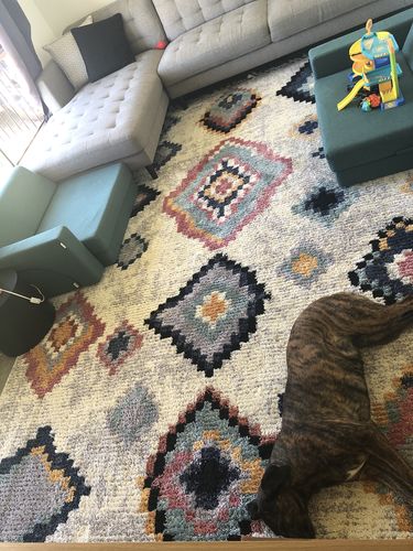 Customer photo review of Boho Moroccan Agadir White Rug