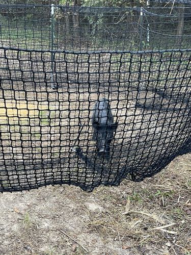 Customer photo review of Pig Brig Trap System