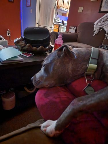 Customer photo review of Green Silicone