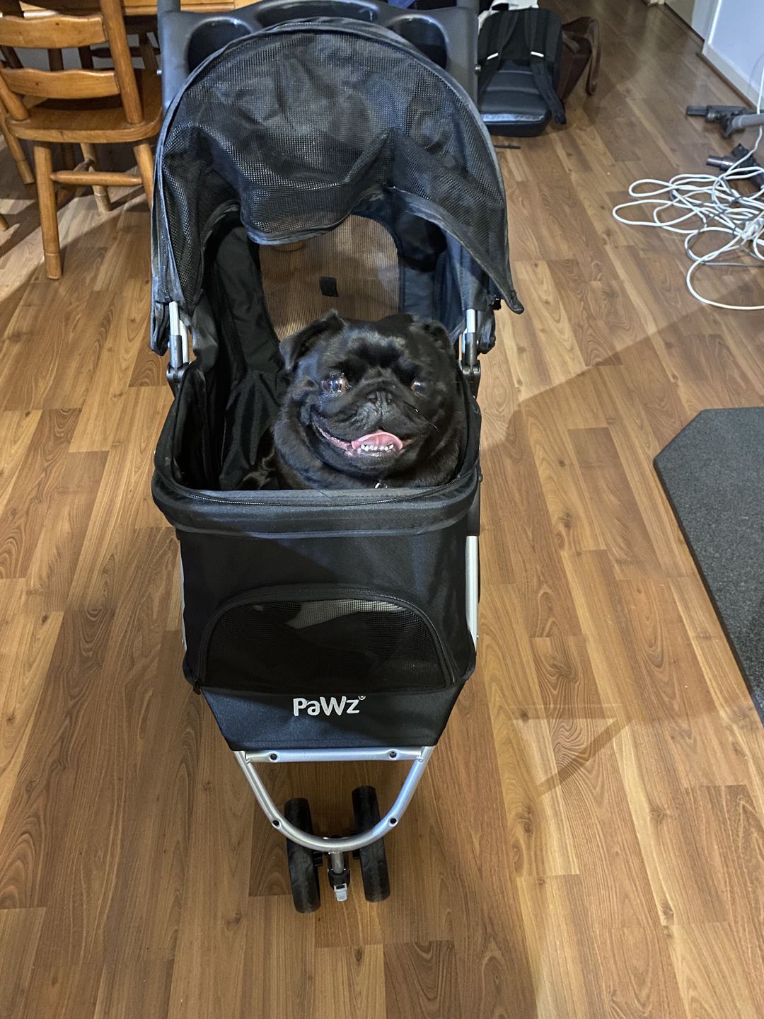 Customer photo review of PaWz Large Pet Stroller Dog Cat Carrier
