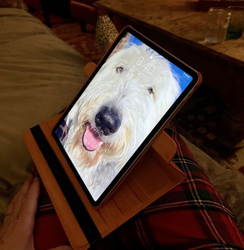 Customer photo review of Premium Leather iPad Case
