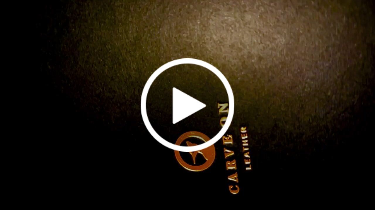 Customer video review of Moleskine Diary