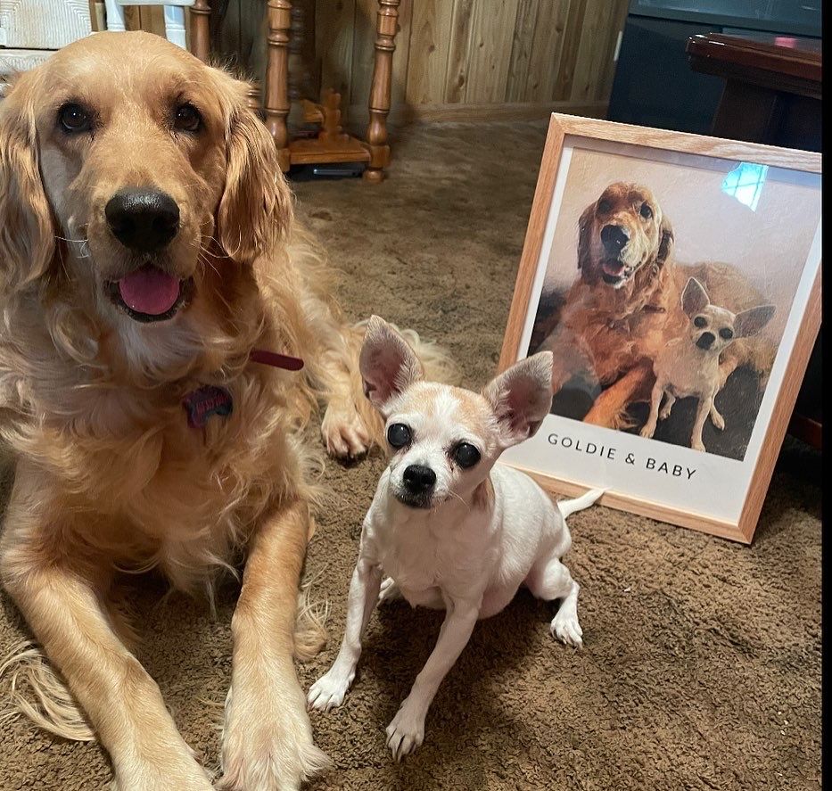 Customer photo review of Custom Pet Portrait