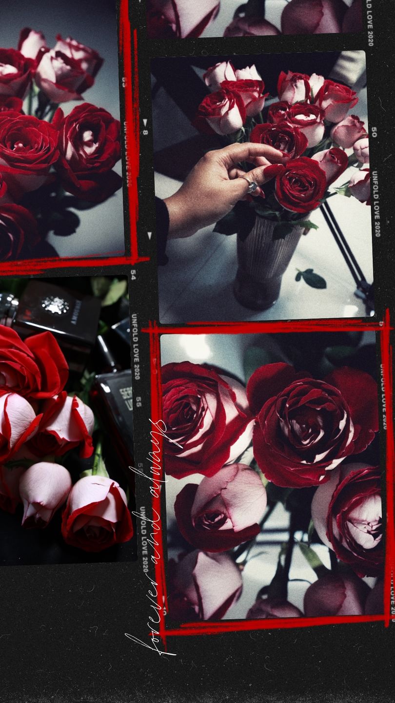 Customer photo review of Roses