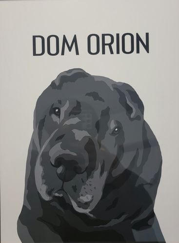 Customer photo review of Custom Pet(s) Portrait